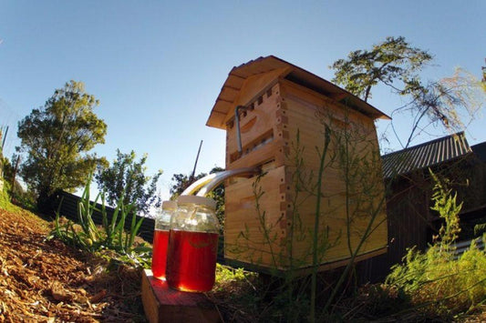 Going Against the Flow?